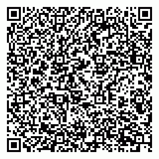 vCard 79397707335