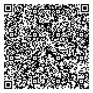 vCard 79397707381