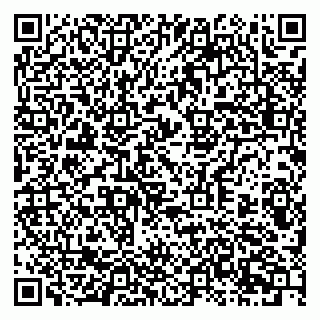 vCard 79397707385
