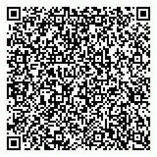 vCard 79397707411