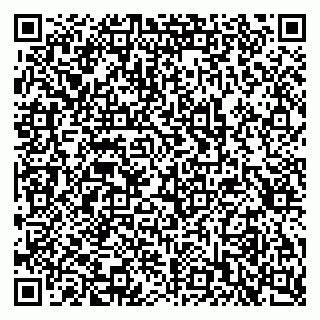 vCard 79397707503