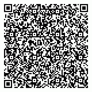 vCard 79397708063