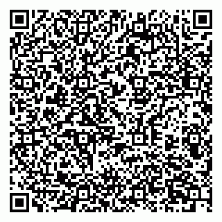 vCard 79397708131