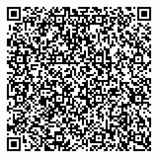 vCard 79397708173