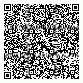 vCard 79397708381