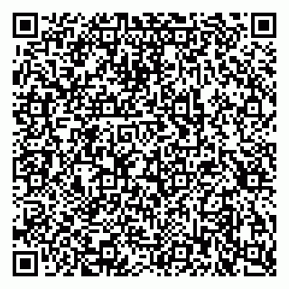 vCard 79397708875