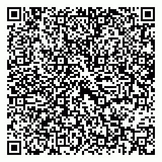 vCard 79397709173