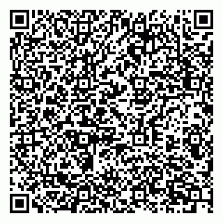 vCard 79397709271