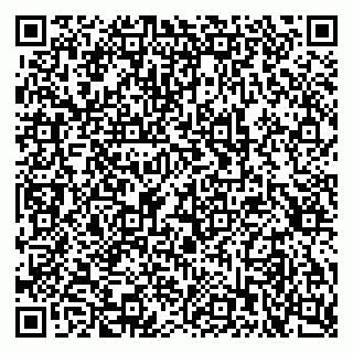 vCard 79397709331