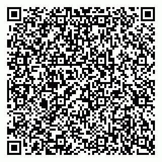 vCard 79397709371