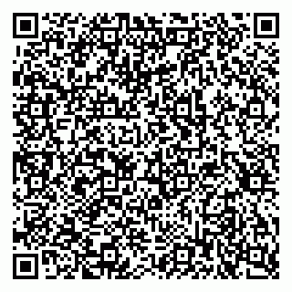 vCard 79397709374