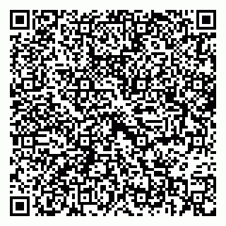 vCard 79397709381