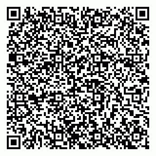vCard 79397709385