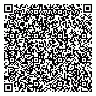 vCard 79397709731