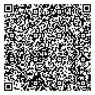 vCard 79397710003