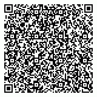 vCard 79397710131