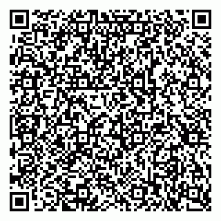 vCard 79397710138