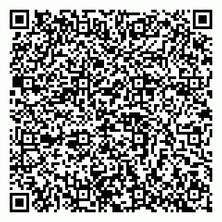 vCard 79397710209