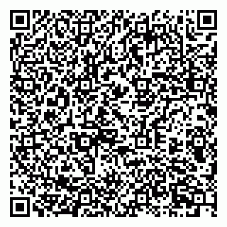 vCard 79397710221