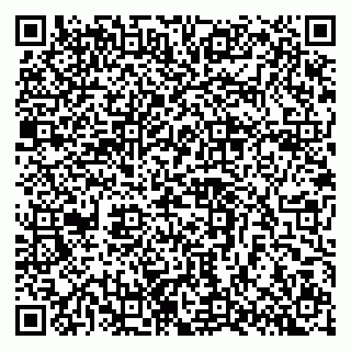 vCard 79397710295