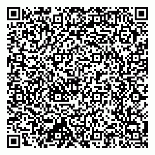 vCard 79397710881