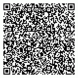 vCard 79397710931