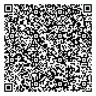 vCard 79397711029