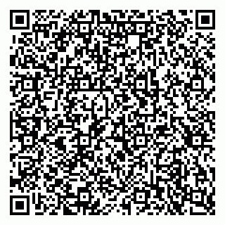 vCard 79397711035