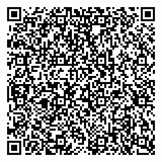 vCard 79397711041