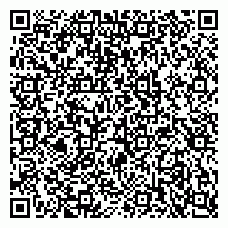 vCard 79397711203