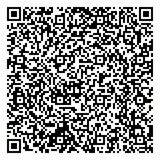 vCard 79397711299