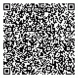 vCard 79397711381