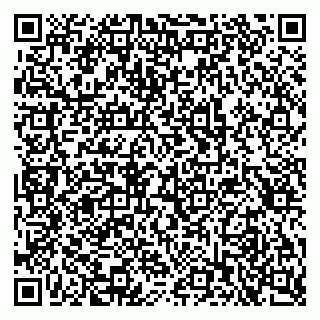 vCard 79397711734
