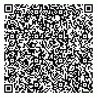 vCard 79397711875