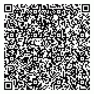 vCard 79397711903