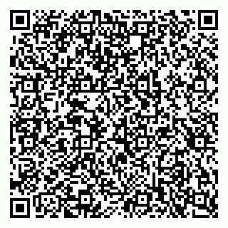 vCard 79397713004