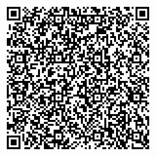 vCard 79397713011