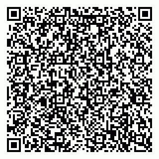 vCard 79397713059