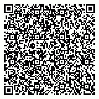 vCard 79397713087