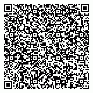 vCard 79397713099