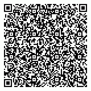 vCard 79397713100
