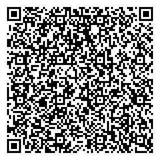 vCard 79397713101