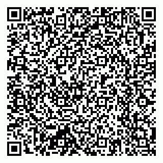 vCard 79397713125