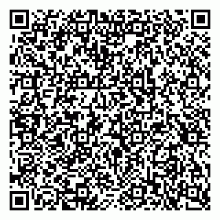 vCard 79397713130