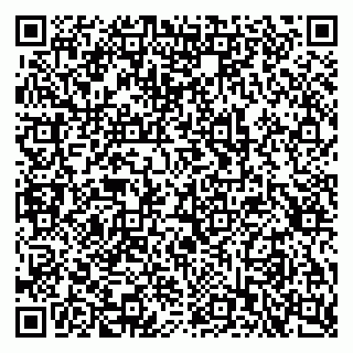 vCard 79397713136