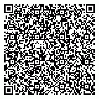 vCard 79397713138