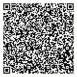 vCard 79397713139