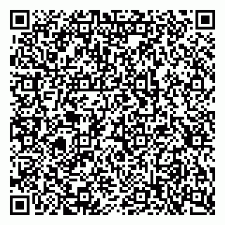 vCard 79397713140