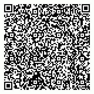vCard 79397713173