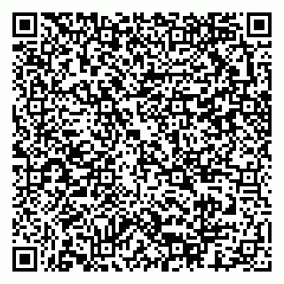 vCard 79397713174